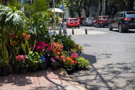 Flower Shop in streets of Mexico Cityの写真素材
