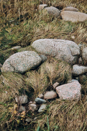 rocky beach with dry grass and stones in autumn. shallow depth of field