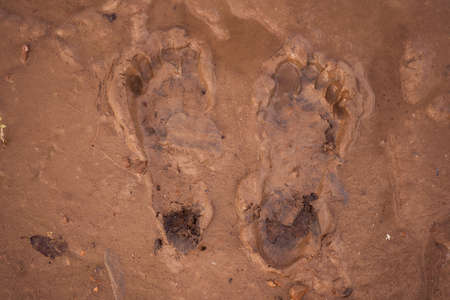 trace of the human foot on the sand