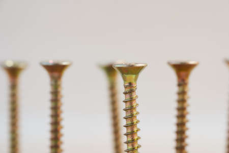 The screws lie in a white cup against a light background.の写真素材