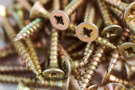 The screws lie in a white cup against a light background. With copy space.Top view. Macro effect photo.の写真素材