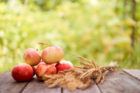 Red apples lie on a wooden board with dry spikes. Green blurred background. High quality photoの写真素材