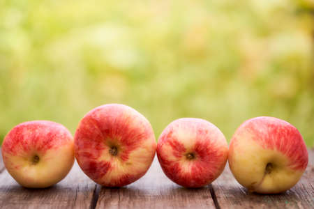Red apples lie on a wooden board with dry spikes. Green blurred background. High quality photoの写真素材