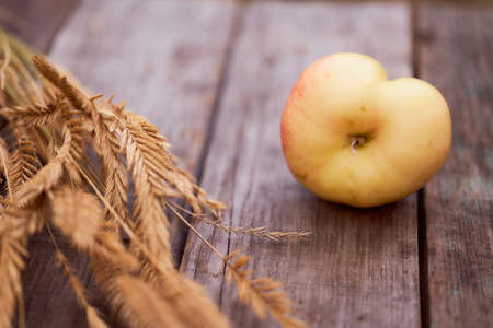 Red apples lie on a wooden board with dry spikes. Green blurred background. High quality photoの写真素材