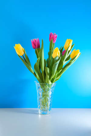 Bouquet yellow and pink tulips in glass vase stands on table on blue and gray background. March 8, womens day, birthday, gift, flowers for woman. Easter and spring greeting cardの写真素材