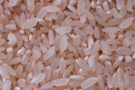 White oblong rice. Macro effect. Bacground. High quality photoの写真素材