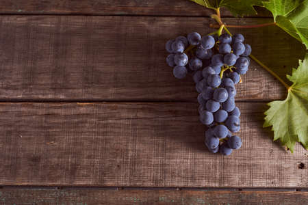 Dark blue grape variety on a wooden table. High quality photoの写真素材