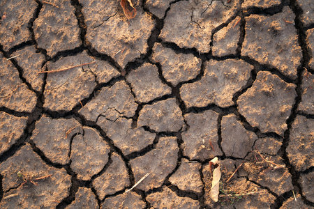 Cracked ground from dehydration. High quality photoの写真素材