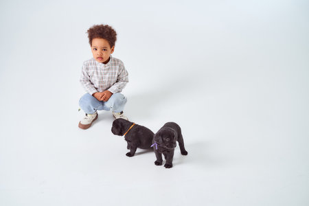 Little African-American boy with two black Labrador puppies. high quality photoの写真素材