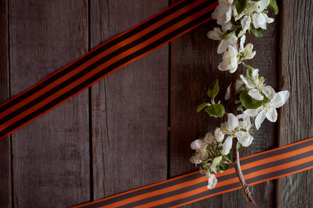 Red tulip in a soldier's military flask with St. George ribbons. high quality photoの写真素材