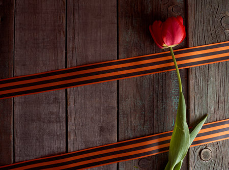 The red tulip lies between the St. George ribbons. 9 may ribbon. wooden background. high quality photoの写真素材
