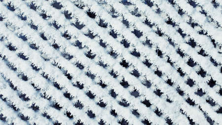 The wire fence is shrouded in ice frost. Beautiful background