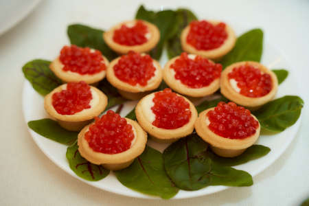 Red salmon caviar with tartlets with greenery on a light backgroundの写真素材