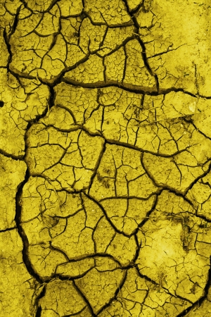 Cracked textured land.の写真素材