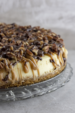 Turtle cheesecake.  Portrait cropped.  Right side of cake close up.の写真素材