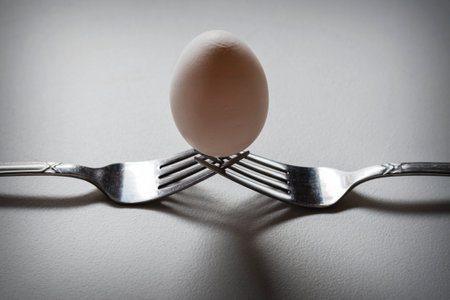 An egg balances on two forks.  Soft backlighting.の写真素材