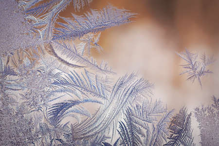 Feathery frost on window pane.
