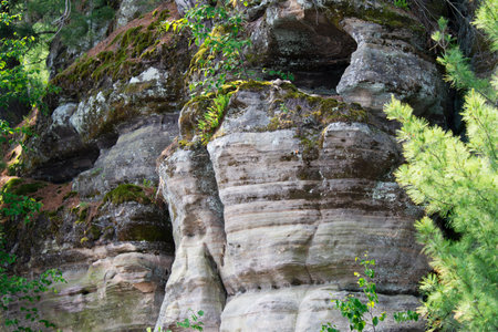Bluffs of  Cambrian sandstone  along the Wisconsin River in the Wisconsin Dells.