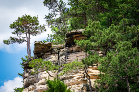 Bluffs of  Cambrian sandstone  along the Wisconsin River in the Wisconsin Dells.の写真素材