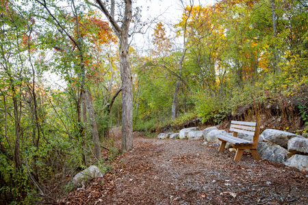 An empty bench sits next to a trail at a scenic spot during an early October morning in Wisconsinの写真素材
