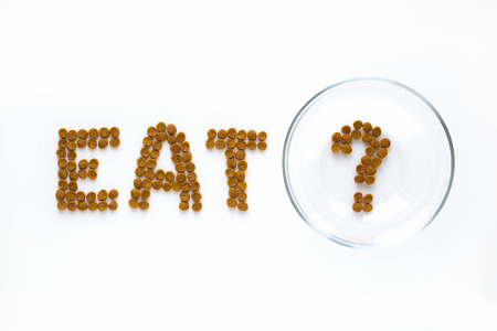 Word EAT and question mark made of dry food with empty bowl. Pet care and veterinary concept with letters on white background.の写真素材