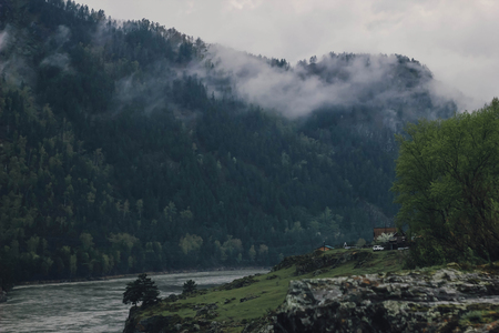 River and forested mountain in fog and cloud. Misty landscape with fir forest in dense fogの写真素材