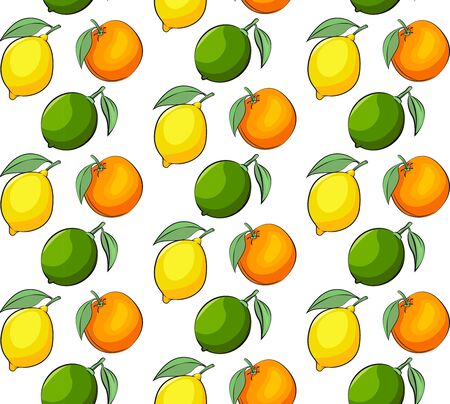 Vector seamless pattern of citrus fruits. Seamless pattern with lemon, lime and orange in vibrant...