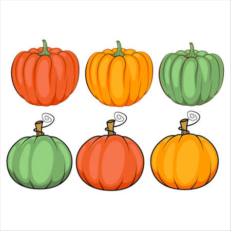 Vector set of pumpkins isolated on a white background. Autumn Halloween pumpkin. Thanksgiving day pumpkin. Flat vector.のイラスト素材