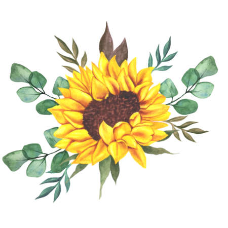 Watercolor sunflowers bouquet, hand painted sunflower bouquets, sunfower flower arrangement. Wedding invitation clipart elements. Watercolor floral. Botanical Drawing. White background.の写真素材