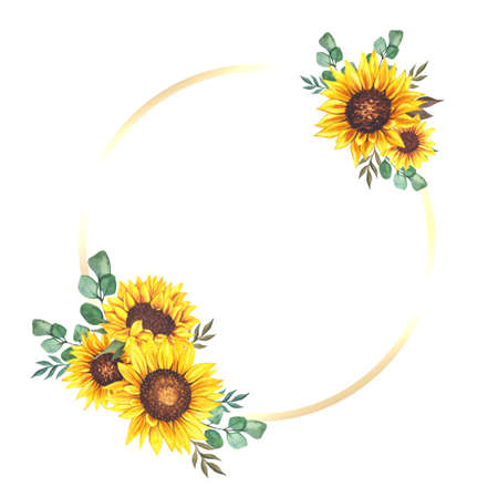 Floral Frames with Sunflowers and Leaves. Watercolor sunflower frame. White background. Watercolor floral. Botanical Drawing.の写真素材