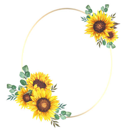 Floral Frames with Sunflowers and Leaves. Watercolor sunflower frame. White background. Watercolor floral. Botanical Drawing.の写真素材