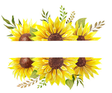 Floral Frames with Sunflowers and Leaves. Watercolor sunflower frame. White background. Watercolor floral. Botanical Drawing.の写真素材