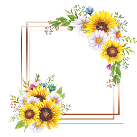 Floral Frames with Wildflowers and Leaves. Watercolor sunflower frame. White background. Watercolor floral. Botanical Drawing. Watercolor Wildflowers Frame. Geometric Floral Frameの写真素材