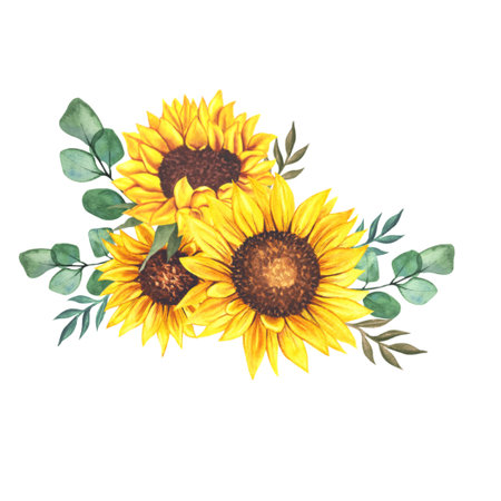 Watercolor sunflowers bouquet, hand painted sunflower bouquets, sunfower flower arrangement. Wedding invitation clipart elements. Watercolor floral. Botanical Drawing. White background.の写真素材