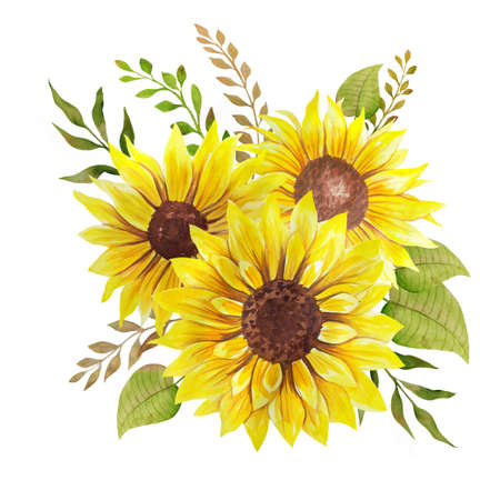 Watercolor sunflowers bouquet, hand painted sunflower bouquets, sunfower flower arrangement. Wedding invitation clipart elements. Watercolor floral. Botanical Drawing. White background.の写真素材