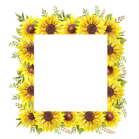 Floral Frames with Sunflowers and Leaves. Watercolor sunflower frame. White background. Watercolor floral. Botanical Drawing.の写真素材