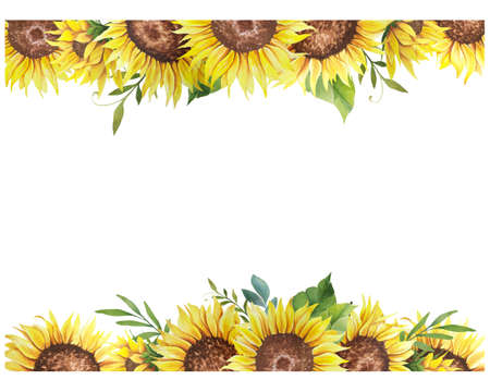 Watercolor Sunflower Frame. Floral Frame with Sunflowers and Leaves. White background. Watercolor floral. Botanical Drawing.の写真素材