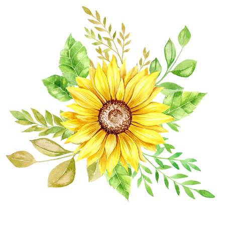 Watercolor Sunflower Bouquets, Sunflower Arrangement. Summer Bouquet on white, botanical illustration. Rustic bouquet watercolorの写真素材