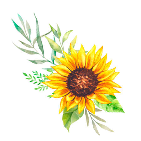 Watercolor sunflowers bouquet, hand painted sunflower bouquet, sunfower flower arrangement. Wedding invitation clipart elements. Watercolor floral. Botanical Drawing.の写真素材