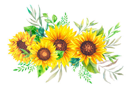 Watercolor sunflowers bouquet, hand painted sunflower bouquet, sunfower flower arrangement. Wedding invitation clipart elements. Watercolor floral. Botanical Drawing.の写真素材