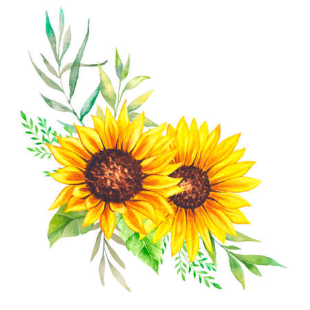 Watercolor sunflowers bouquet, hand painted sunflower bouquet, sunfower flower arrangement. Wedding invitation clipart elements. Watercolor floral. Botanical Drawing.の写真素材