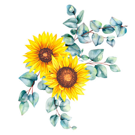Watercolor sunflowers bouquet, hand painted sunflower bouquet, sunfower flower arrangement. Wedding invitation clipart elements. Watercolor floral. Botanical Drawing. White backgroの写真素材