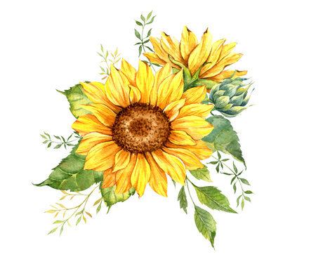 Watercolor sunflowers bouquet, hand painted sunflower bouquets with greenery, sunfower flower arrangement. Wedding invitation clipart elements. Watercolor floral. Botanical Drawingの写真素材
