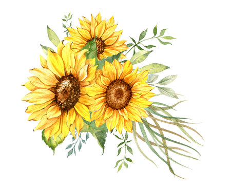 Watercolor sunflowers bouquet, hand painted sunflower bouquets, sunfower flower arrangement. Wedding invitation clipart elements. Watercolor floral. Botanical Drawing.の写真素材