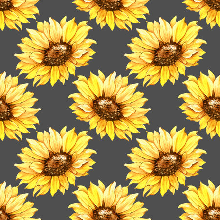 Watercolor Sunflower Background, Sunflower Seamless pattern with Hand Painted Watercolor Sunflowers and Greenery on dark backgroundの写真素材