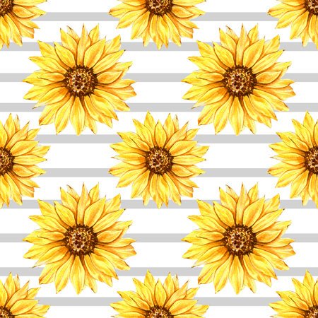 Watercolor Sunflower Background, Sunflower Seamless pattern with Hand Painted Watercolor Sunflowers and Greenery on white backgroundの写真素材