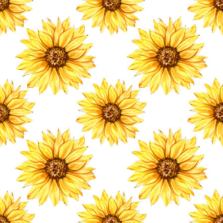 Watercolor Sunflower Background, Sunflower Seamless pattern with Hand Painted Watercolor Sunflowers and Greenery on white backgroundの写真素材