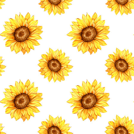 Watercolor Sunflower Background, Sunflower Seamless pattern with Hand Painted Watercolor Sunflowers and Greenery on white backgroundの写真素材