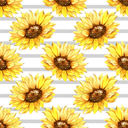 Watercolor Sunflower Background, Sunflower Seamless pattern with Hand Painted Watercolor Sunflowers and Greenery on white backgroundの写真素材