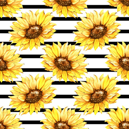 Watercolor Sunflower Background, Sunflower Seamless pattern with Hand Painted Watercolor Sunflowers and Greenery on white backgroundの写真素材